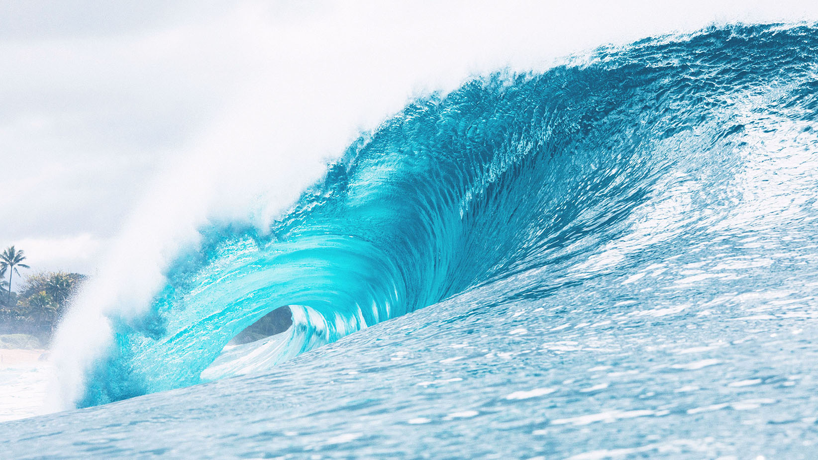 Surfers Village Paris | Site Officiel | Premier Village Sport & Santé | Cap sur 2030-2032